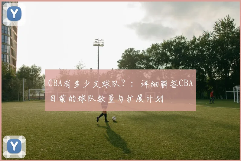CBA有多少支球队？：详细解答CBA目前的球队数量与扩展计划