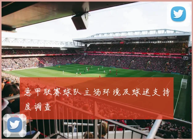 意甲联赛球队主场环境及球迷支持度调查