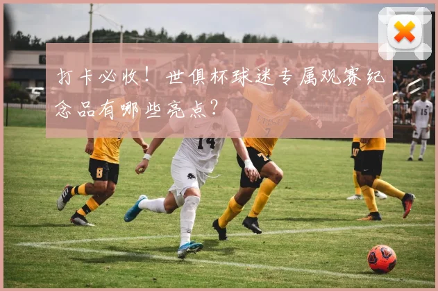 打卡必收！世俱杯球迷专属观赛纪念品有哪些亮点？