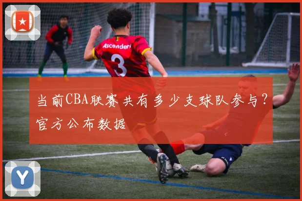 当前CBA联赛共有多少支球队参与？官方公布数据