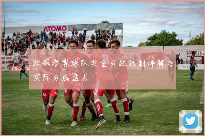 欧冠参赛球队奖金分配机制详解与实际分成盘点