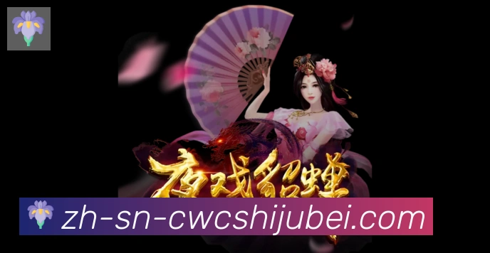 奖项证书