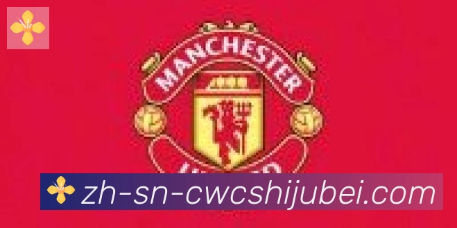 世界杯买球合作伙伴