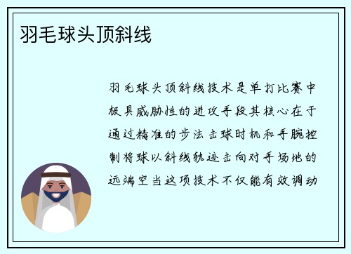 羽毛球头顶斜线