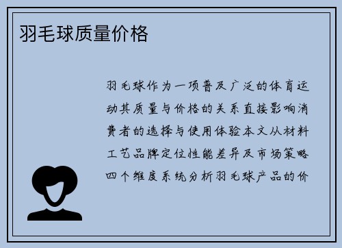 羽毛球质量价格