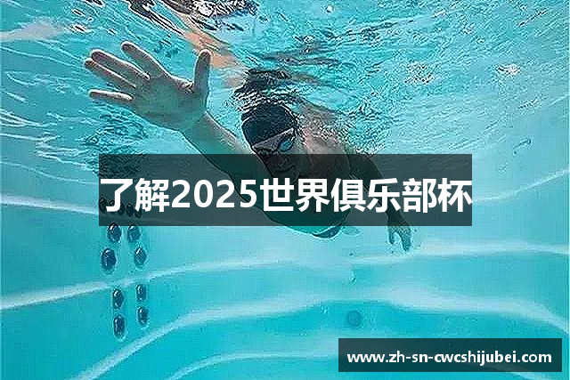 了解2025世界俱乐部杯